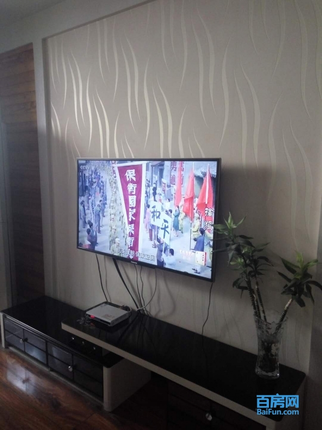 自贸区鼎府小户型精装修